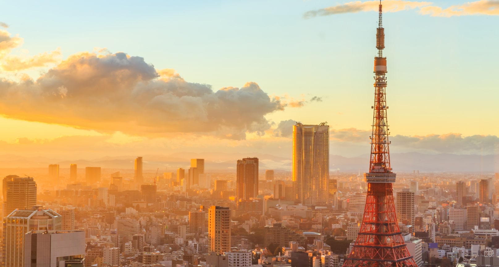 The ultimate guide to Michelin Star dining in Tokyo, Japan